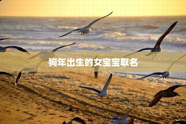 狗年出生的女宝宝取名
