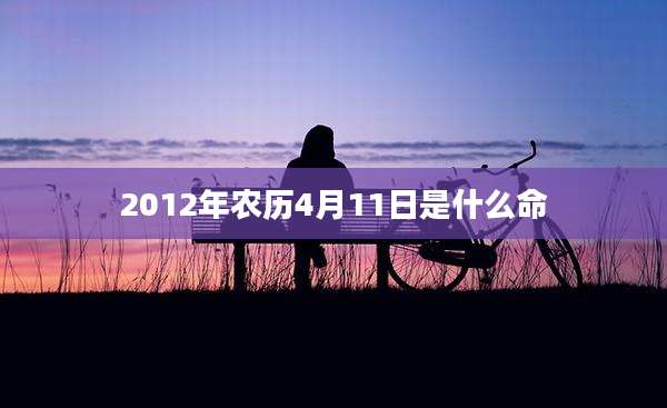 2012年农历4月11日是什么命