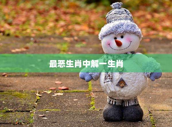 最恶生肖中解一生肖