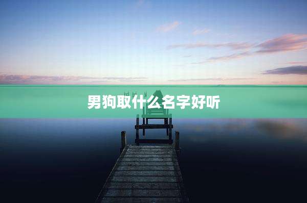 男狗取什么名字好听