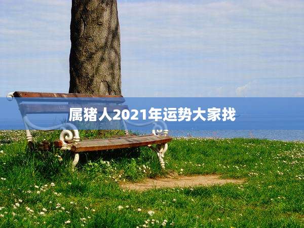 属猪人2021年运势大家找