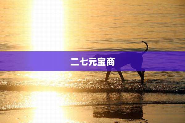 二七元宝商