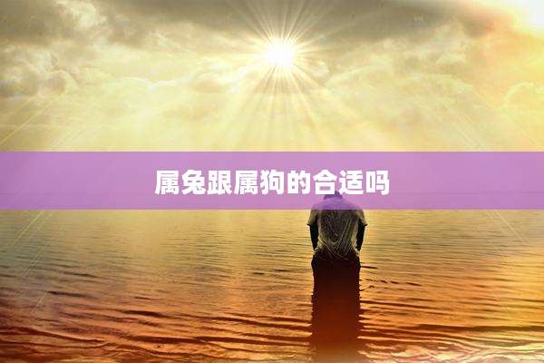 属兔跟属狗的合适吗