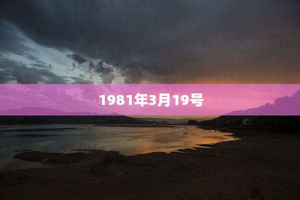 1981年3月19号