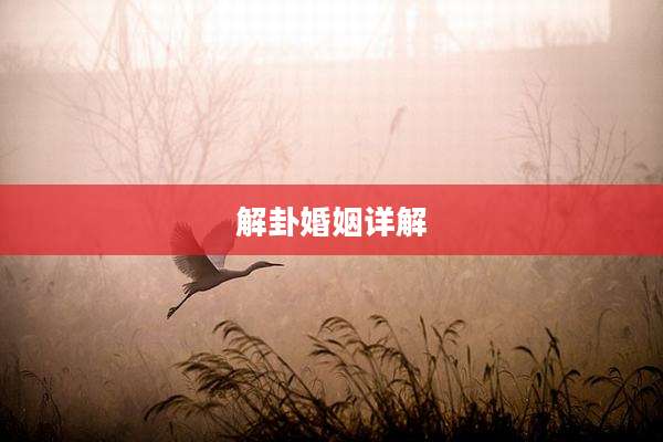 解卦婚姻详解