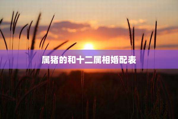 属猪的和十二属相婚配表