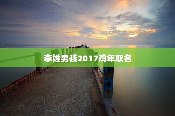 李姓男孩2017鸡年取名