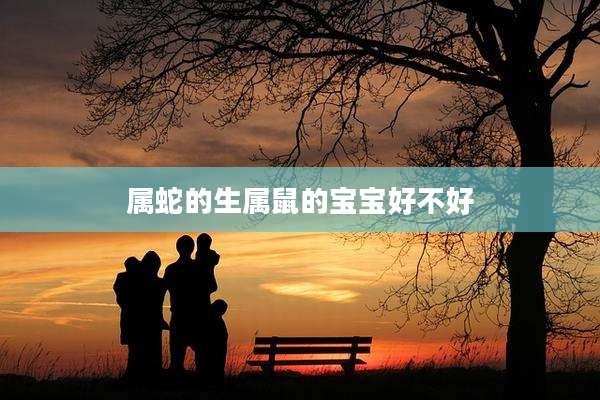 属蛇的生属鼠的宝宝好不好