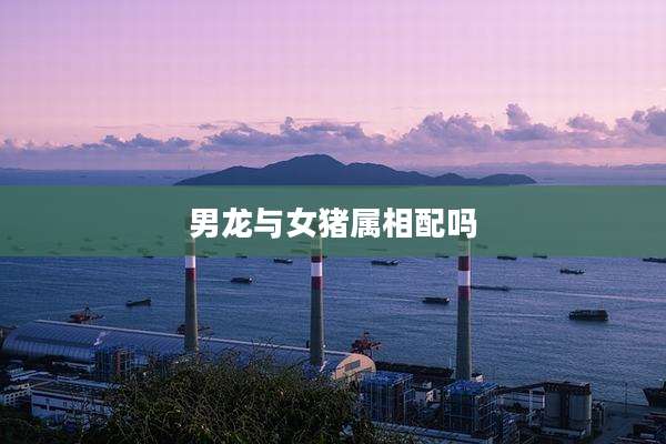 男龙与女猪属相配吗