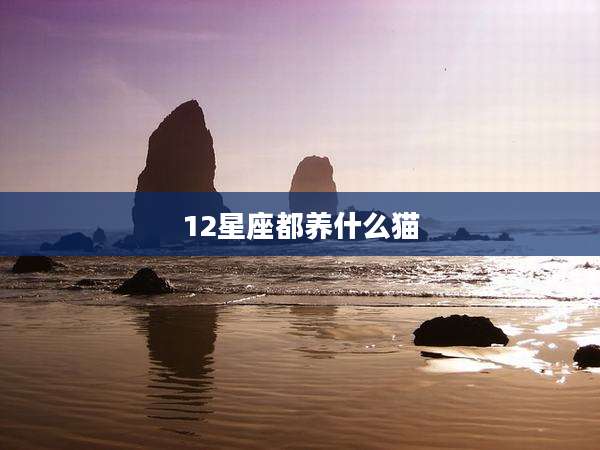 12星座都养什么猫