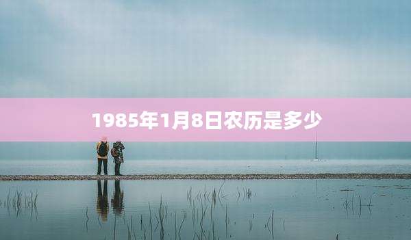 1985年1月8日农历是多少