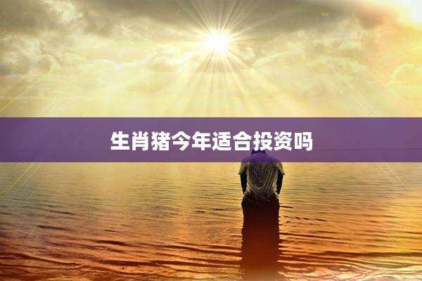 生肖猪今年适合投资吗