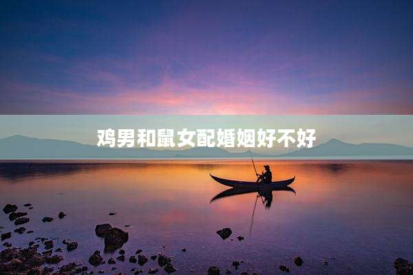 鸡男和鼠女配婚姻好不好
