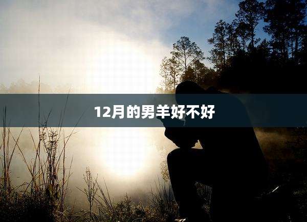 12月的男羊好不好