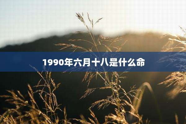 1990年六月十八是什么命