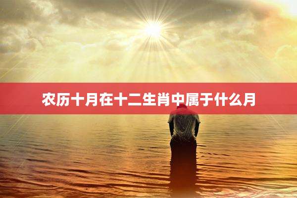 农历十月在十二生肖中属于什么月