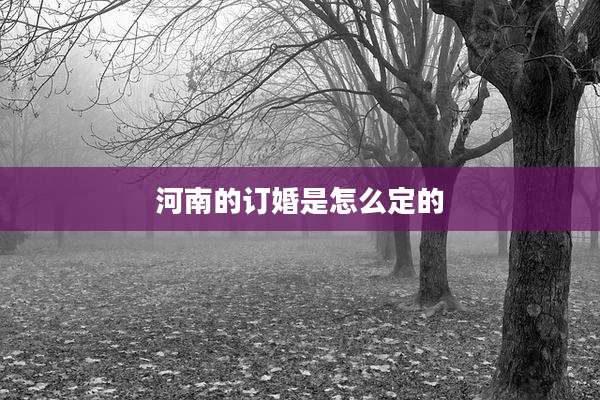 河南的订婚是怎么定的