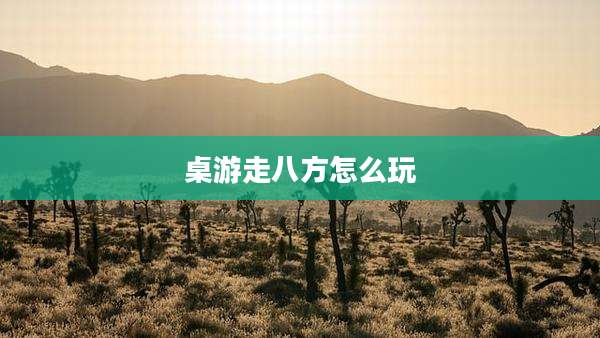 桌游走八方怎么玩