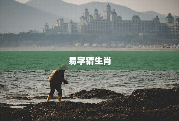 易字猜生肖