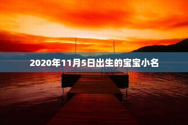 2020年11月5日出生的宝宝小名