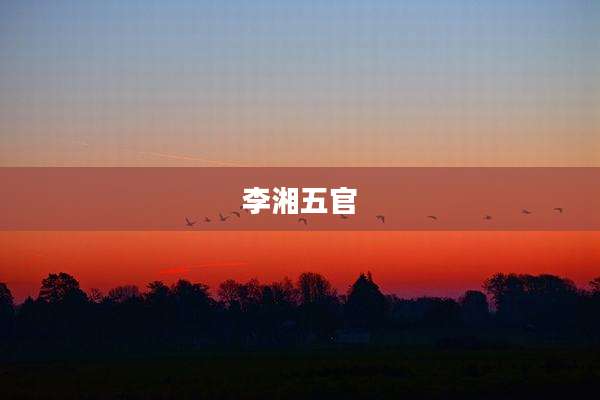 李湘五官