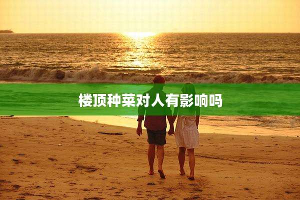 楼顶种菜对人有影响吗