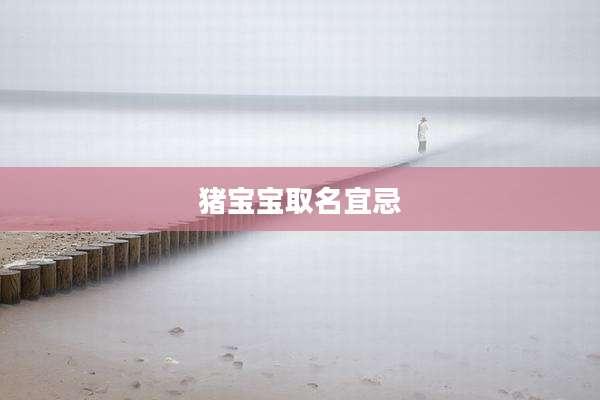 猪宝宝取名宜忌