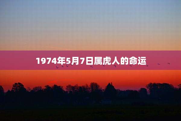 1974年5月7日属虎人的命运
