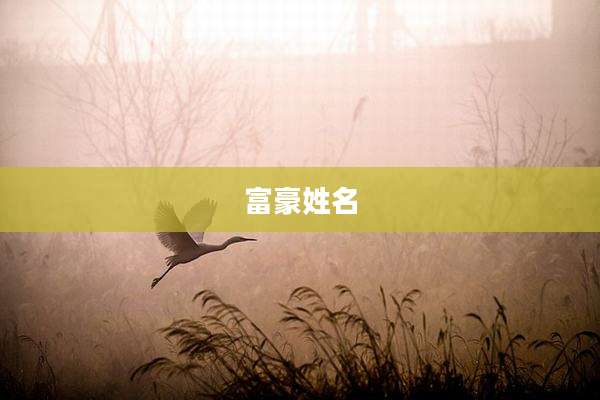 富豪姓名