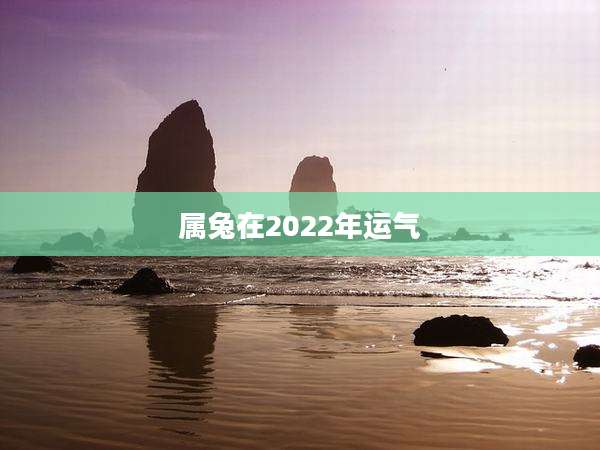 属兔在2022年运气