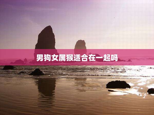 男狗女属猴适合在一起吗