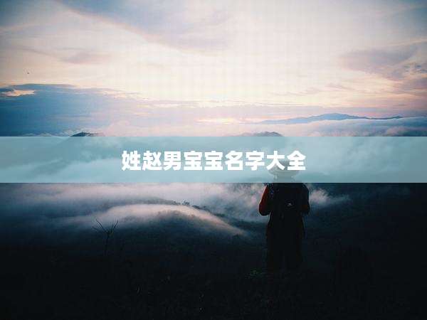 姓赵男宝宝名字大全