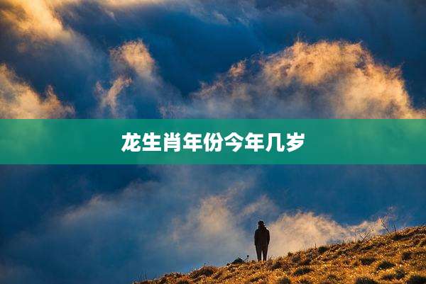 龙生肖年份今年几岁