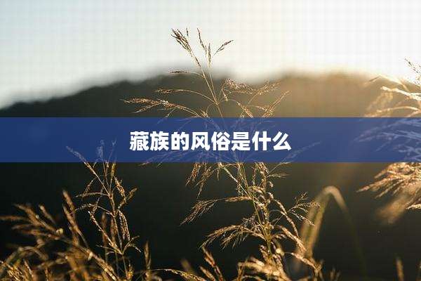 藏族的风俗是什么