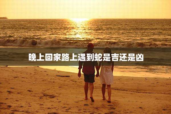 晚上回家路上遇到蛇是吉还是凶