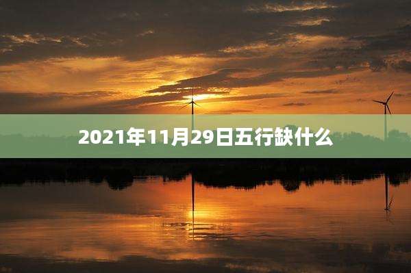 2021年11月29日五行缺什么