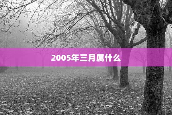 2005年三月属什么