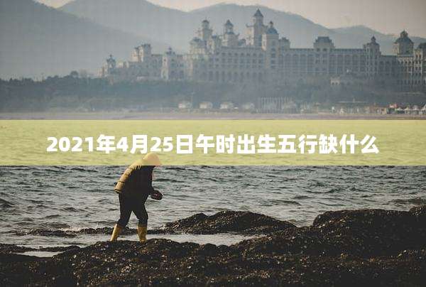 2021年4月25日午时出生五行缺什么