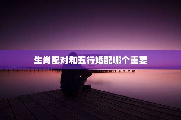 生肖配对和五行婚配哪个重要