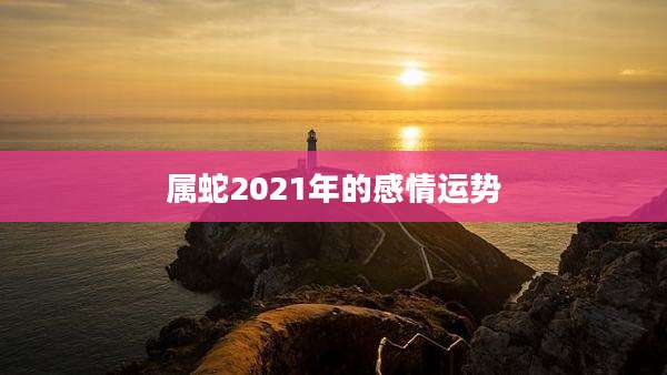 属蛇2021年的感情运势