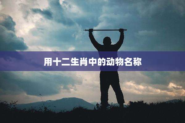 用十二生肖中的动物名称
