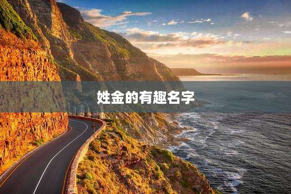 姓金的有趣名字