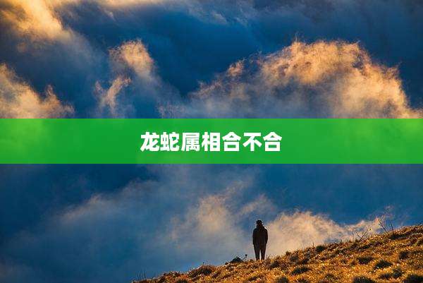 龙蛇属相合不合