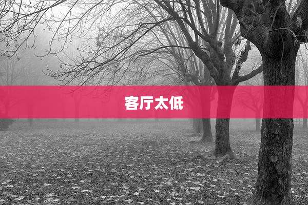 客厅太低