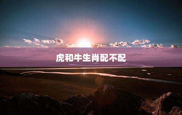 虎和牛生肖配不配