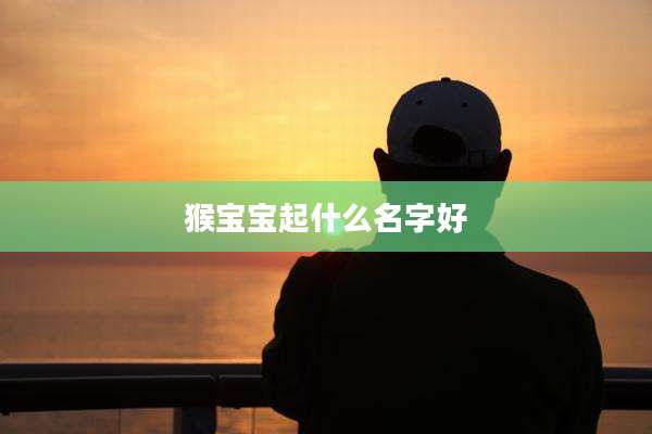 猴宝宝起什么名字好