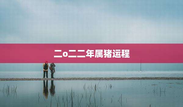 二o二二年属猪运程