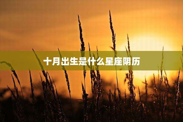 十月出生是什么星座阴历
