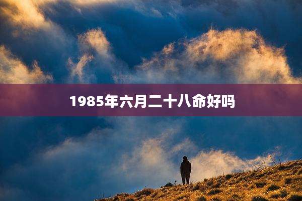 1985年六月二十八命好吗