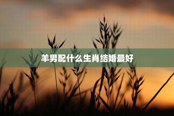 羊男配什么生肖结婚最好
